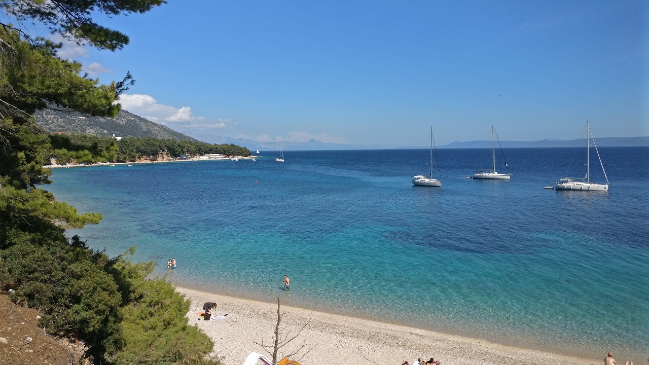 2017-05-14 15.56.50.jpg