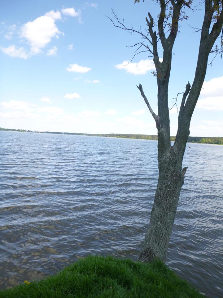 bezmajtkowcy (1).jpg