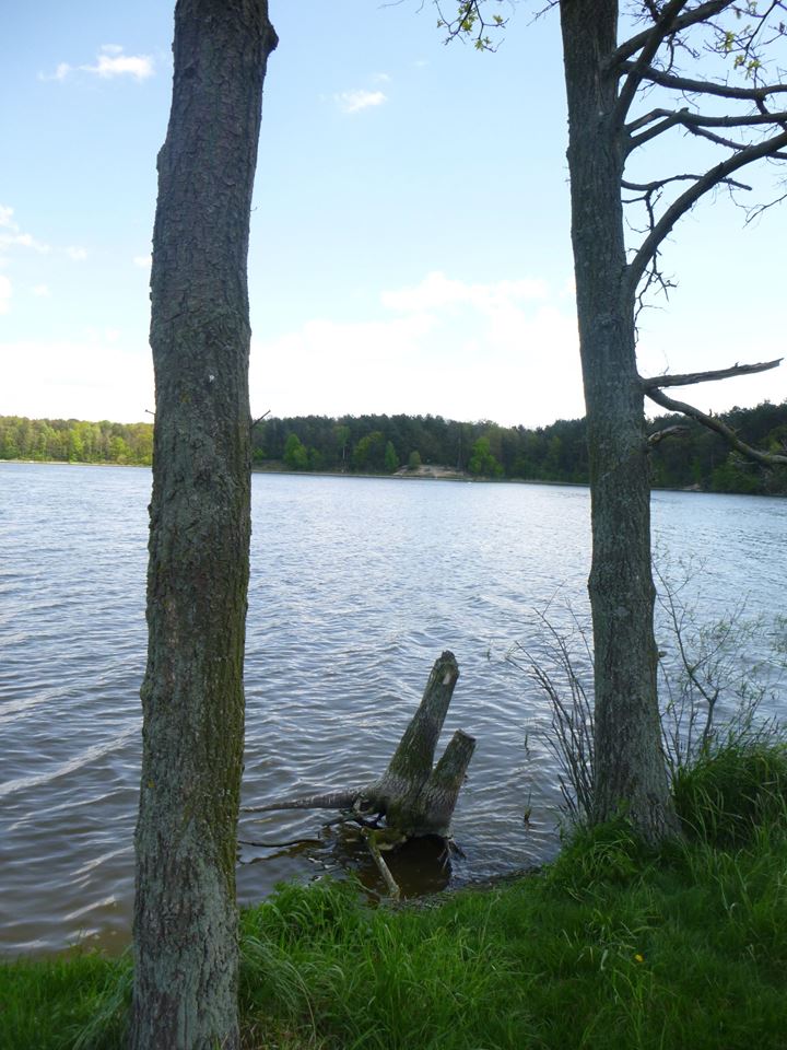 bezmajtkowcy (3).jpg