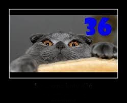 images.jpg