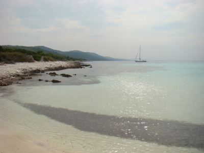 DSC04292 (400x300).jpg