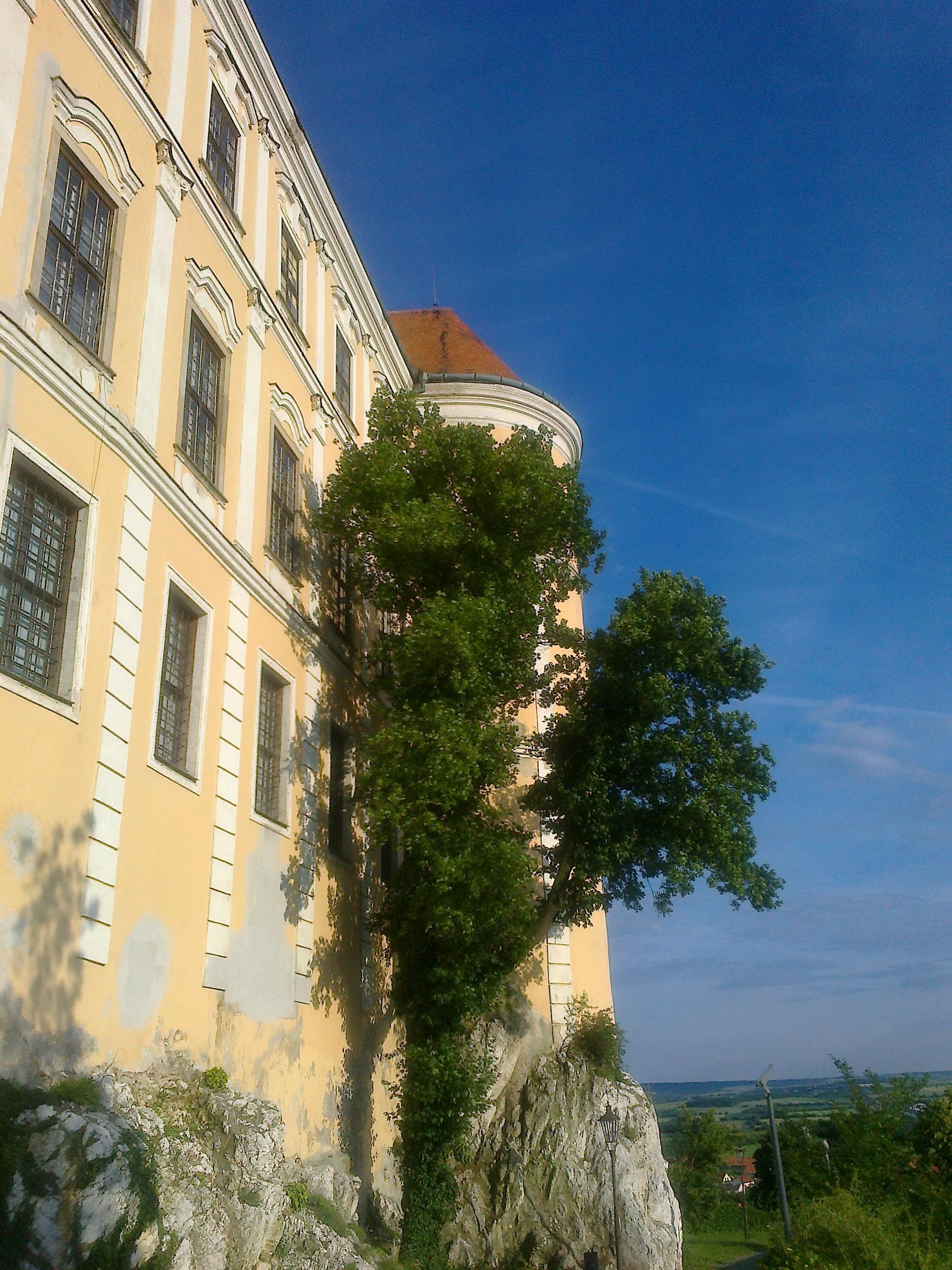 Zdjęcie0053.jpg Zdjęcie0053.jpg