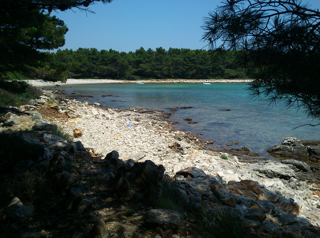 Widok z "Lasku Podglądaczy" ;) ... fotka skomórki więc sorka za jakość :D / DSC_0065a.jpg DSC_0065a.jpg