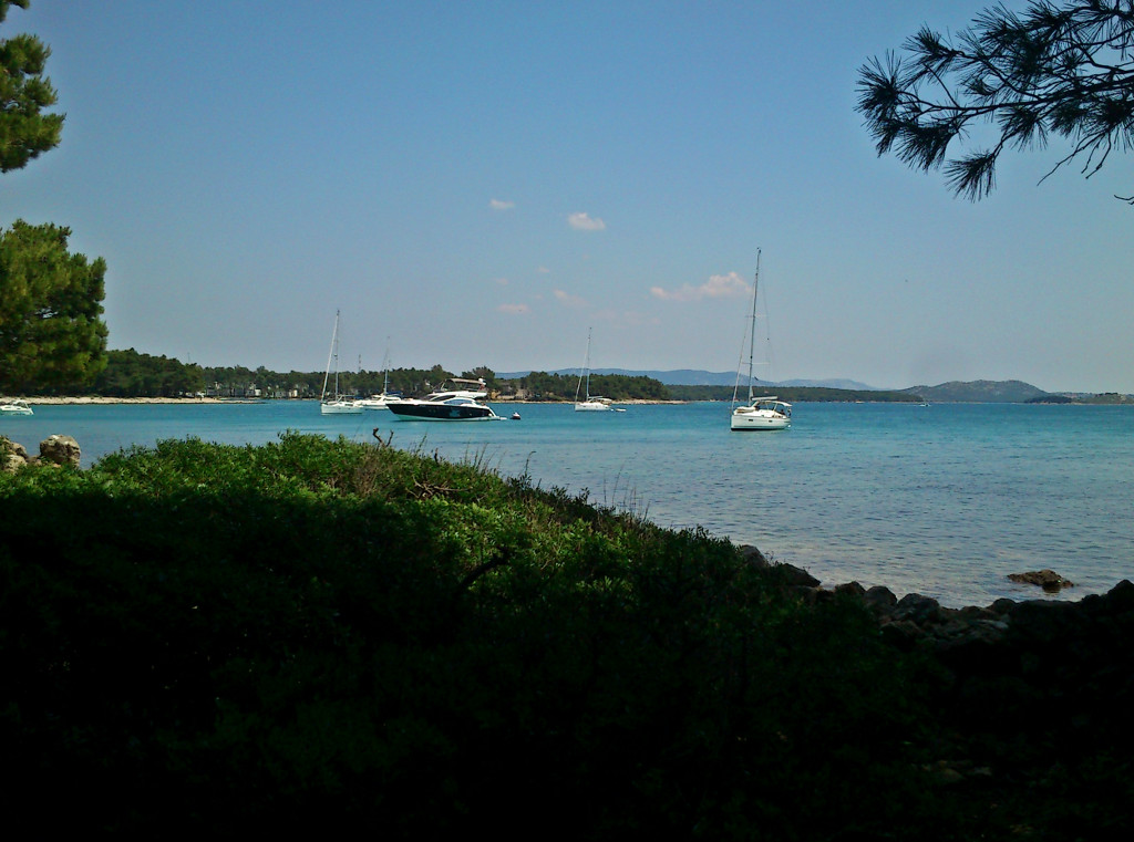 j/w / DSC_0062a.jpg DSC_0062a.jpg