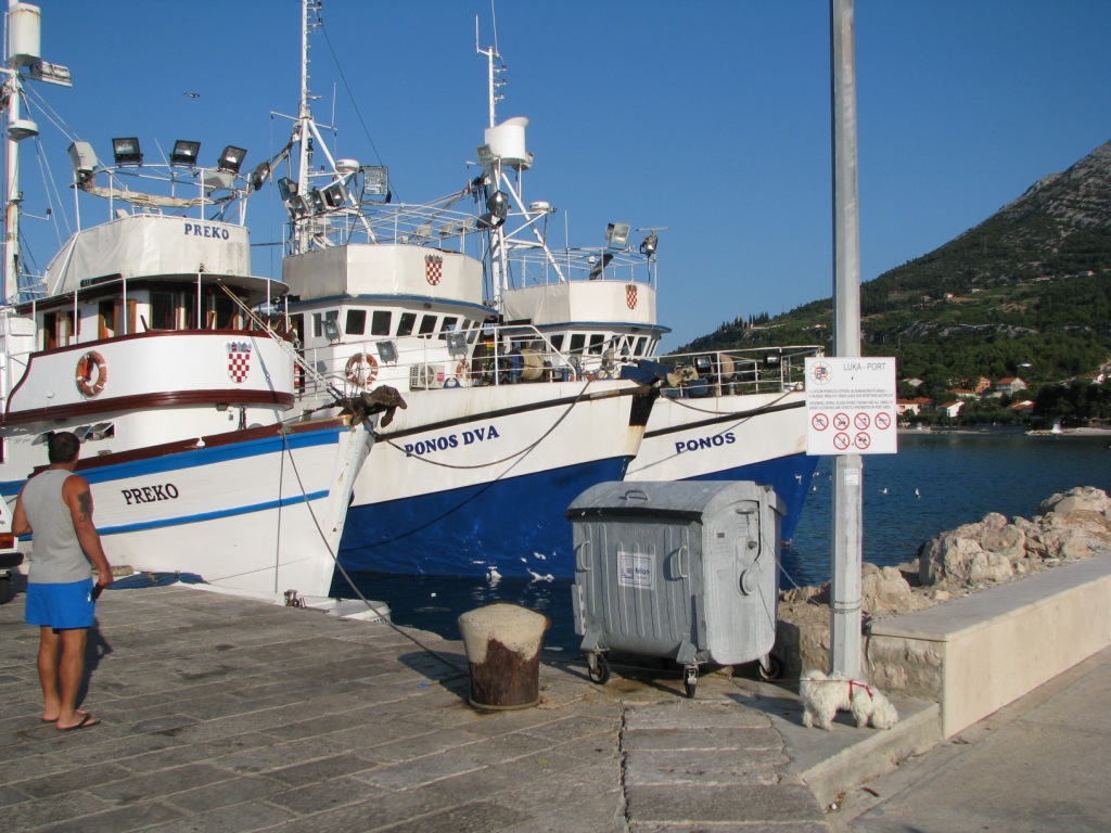 statki rybaków / ryba.JPG ryba.JPG