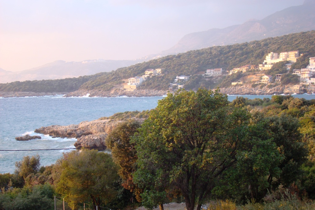 DSC05963.JPG DSC05963.JPG