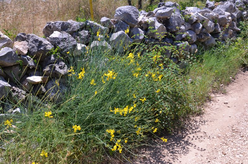 droga / DSC_0269.JPG DSC_0269.JPG