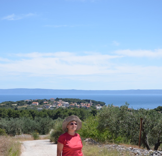 w oddali widać Sumartin / DSC_0301.JPG DSC_0301.JPG