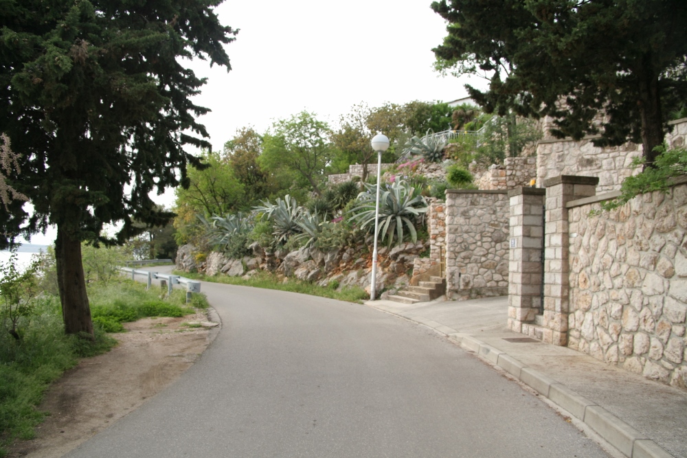 IMG_2740 (1000x667).jpg