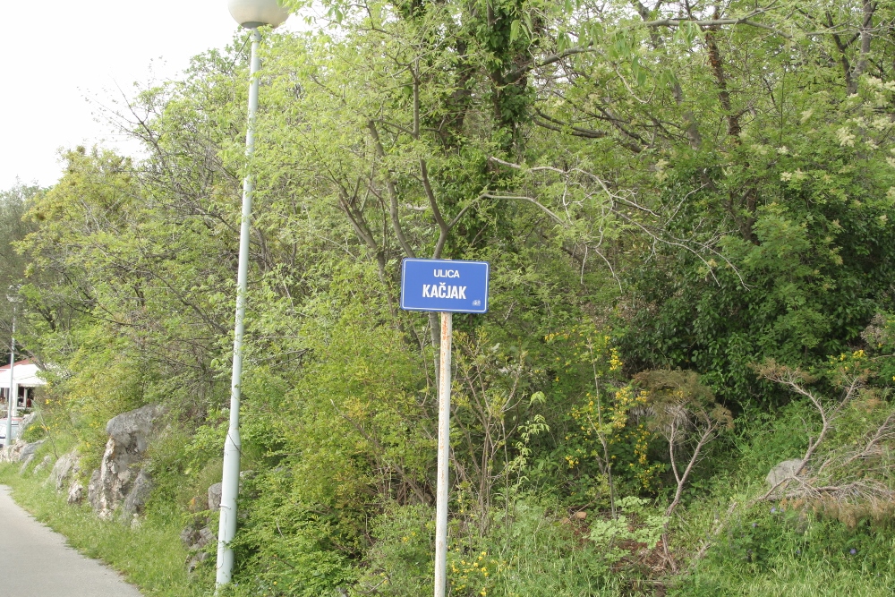 IMG_2748 (1000x667).jpg