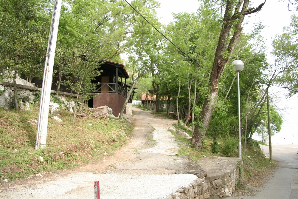 IMG_2765 (1000x667).jpg