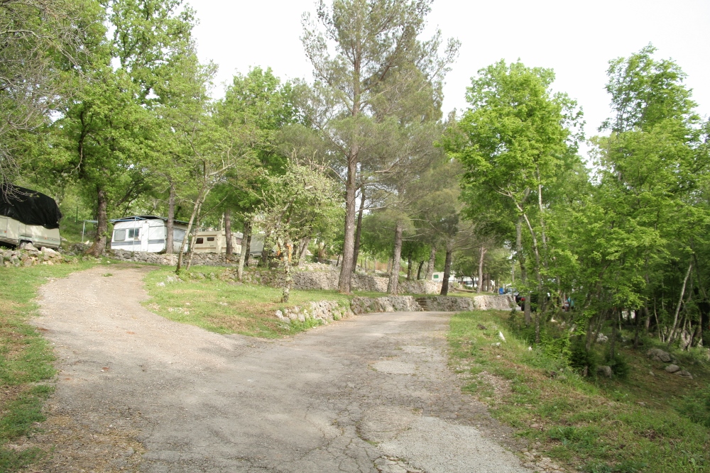 IMG_2768 (1000x667).jpg