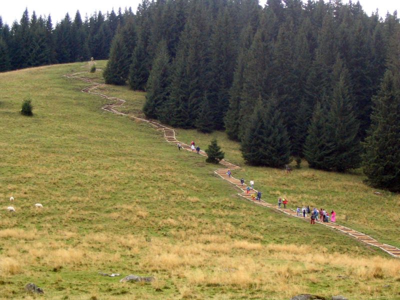 droga na gęsią szyję 9_2004.JPG