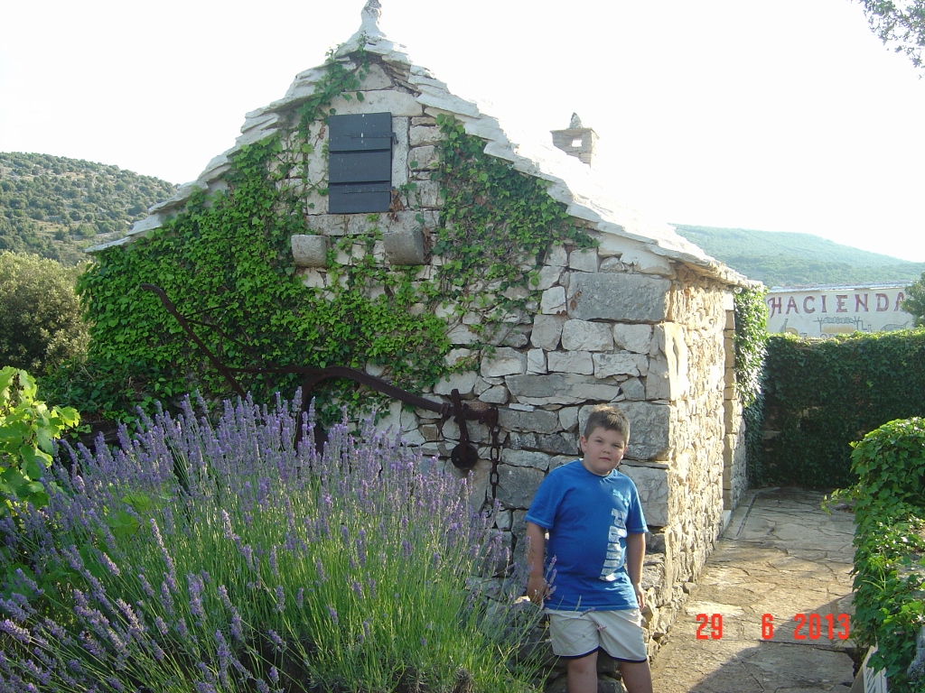 DSC02726 (1024x768).jpg