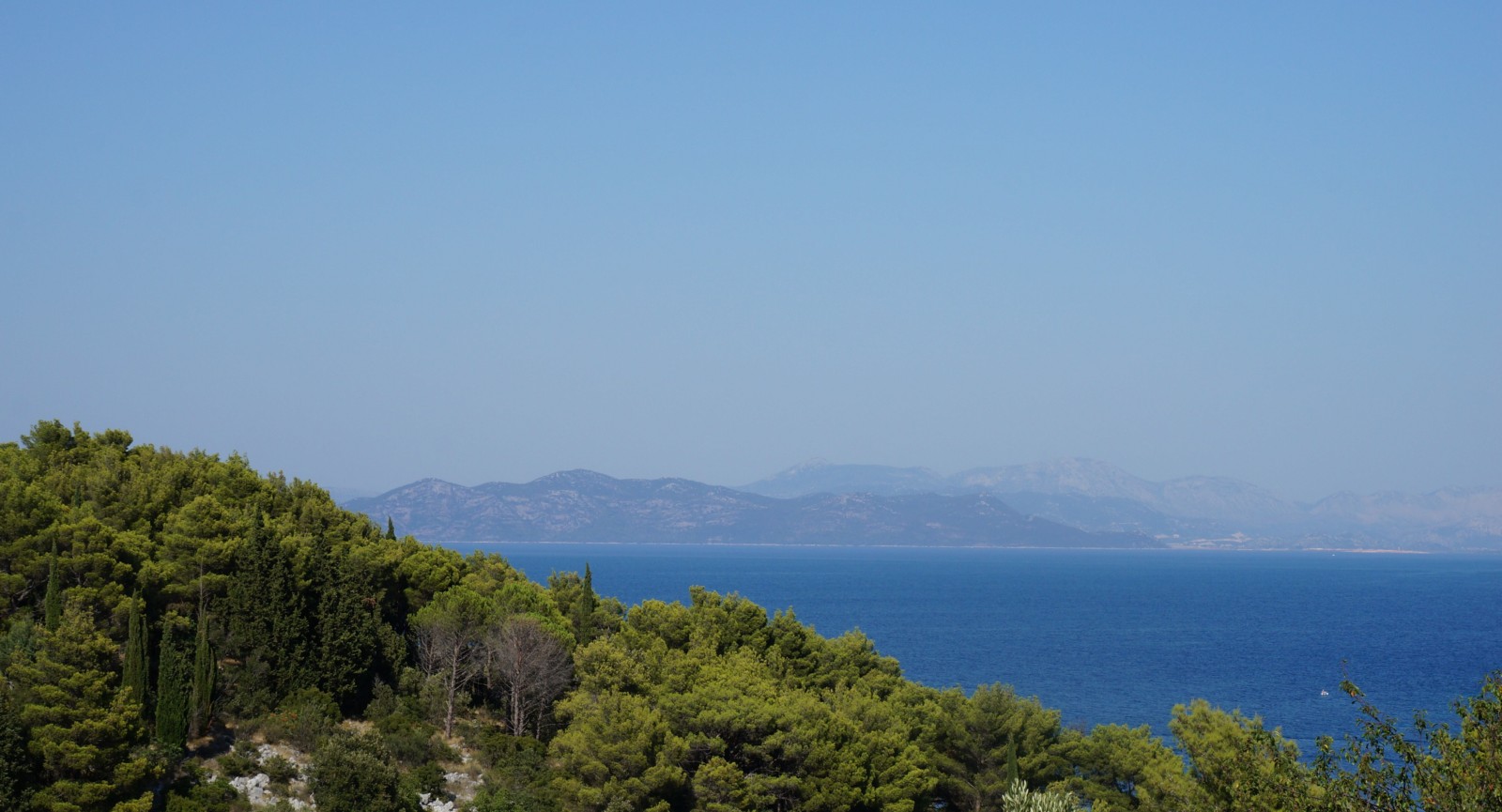 DSC01138 [1600x1200].JPG