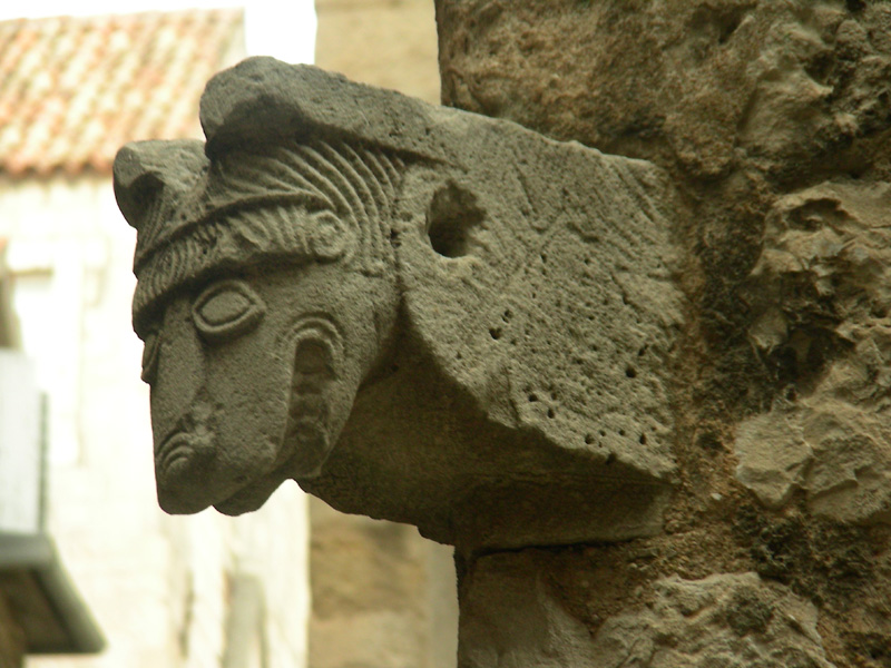 Ni pies, ni wydra / glowa.JPG glowa.JPG