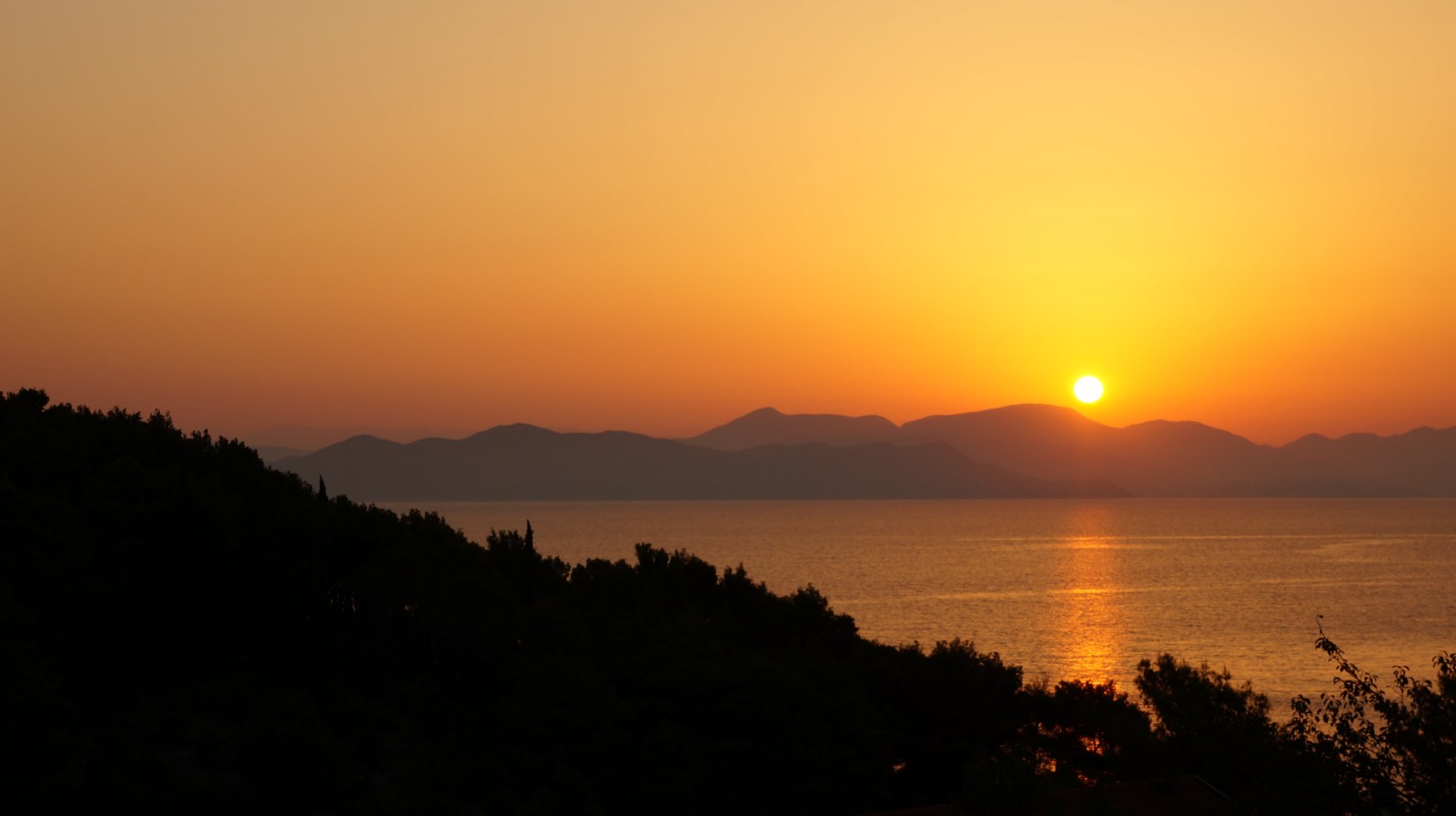 DSC01308 [1600x1200].JPG