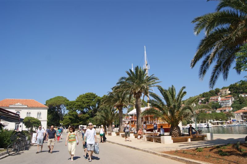 bocianie gniazda].jpg