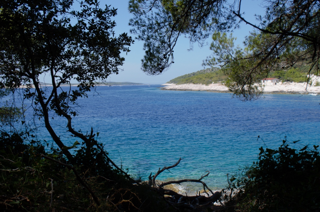 DSC_0051 (1024x678).jpg