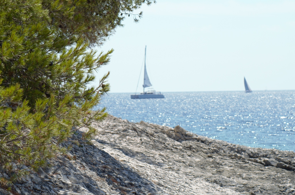 DSC_0107 (1024x678).jpg