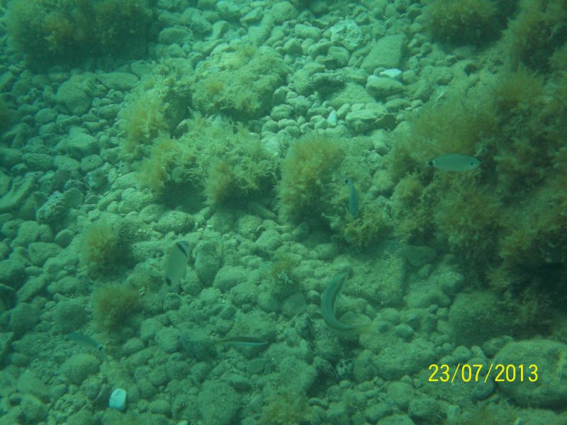 obiekt zainteresowań.jpg