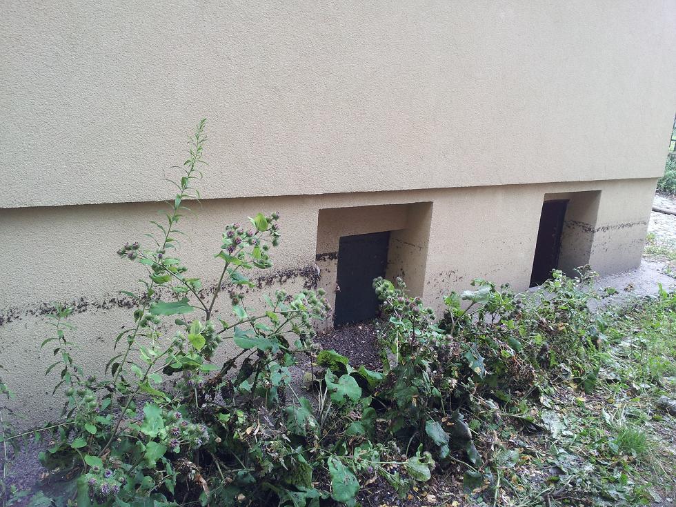 2013-07-30 09 xx.JPG