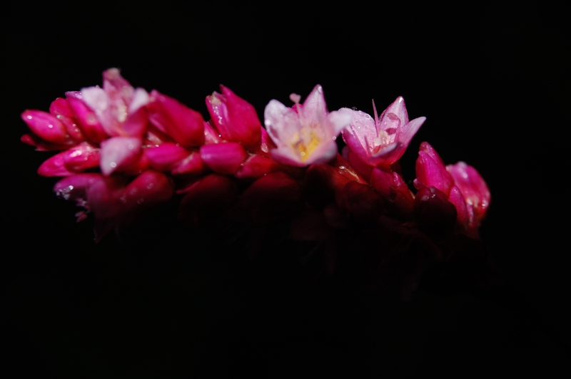 tapeta na dowidzenia small.JPG