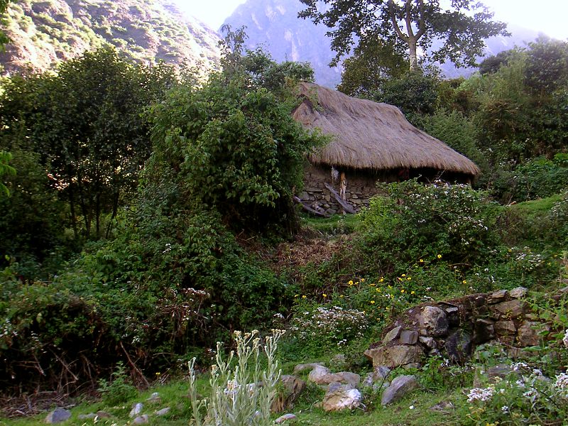 PICT0008.JPG PICT0008.JPG