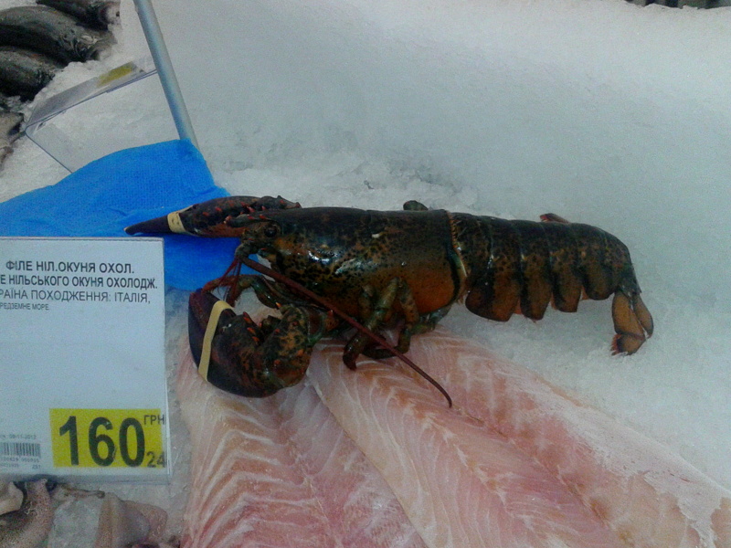 2013-09-13 12.55.33.jpg 2013-09-13 12.55.33.jpg