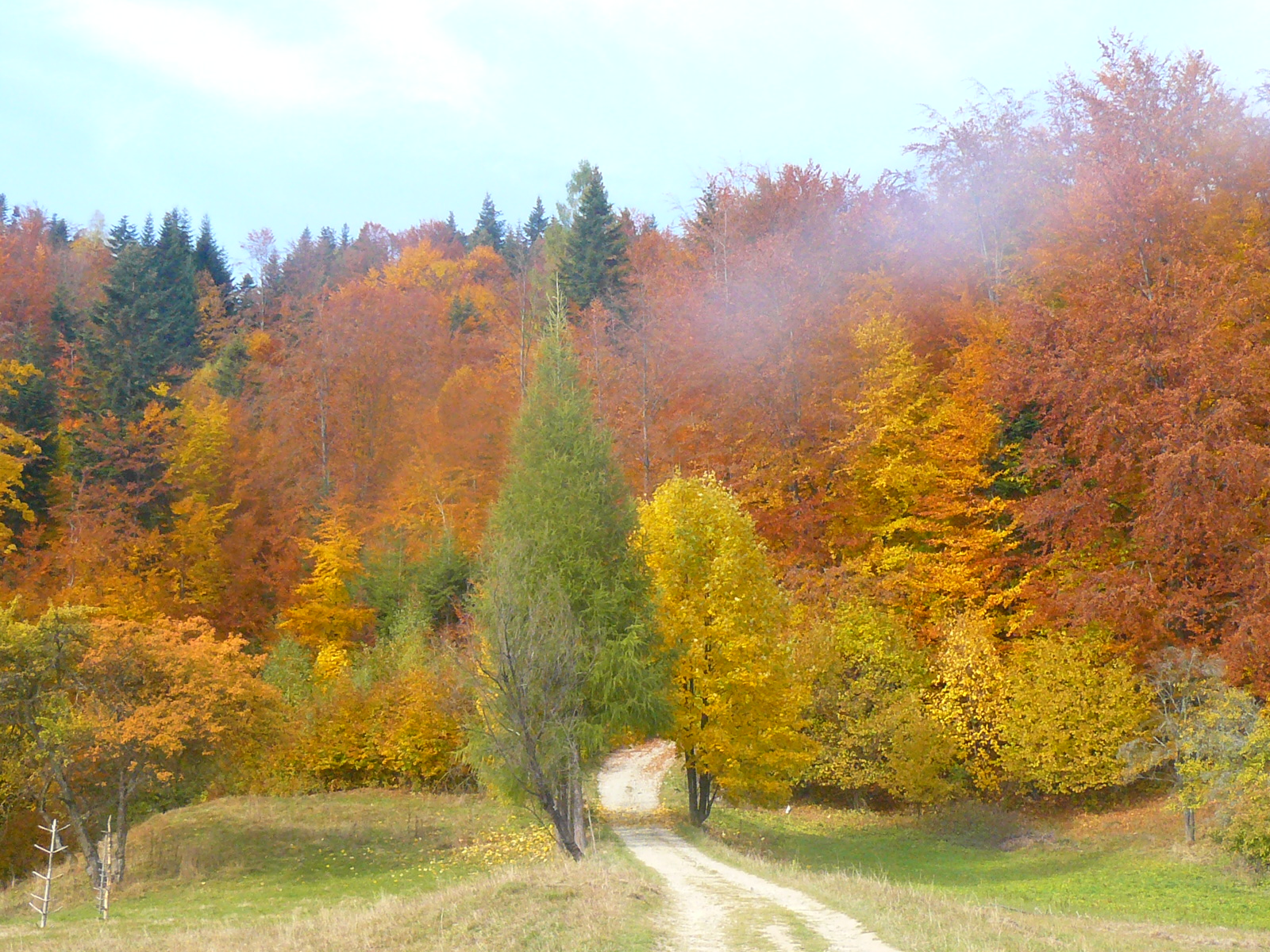 P1110500.JPG