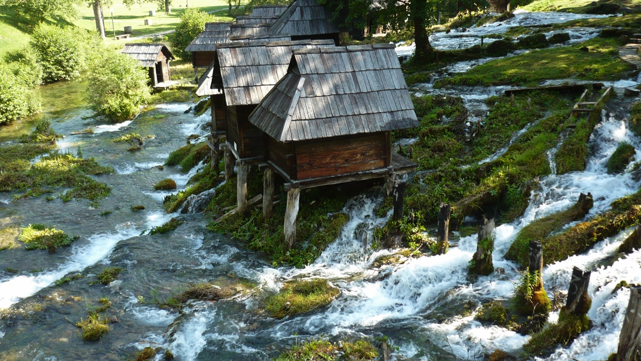 P1030167 (1280x720).jpg