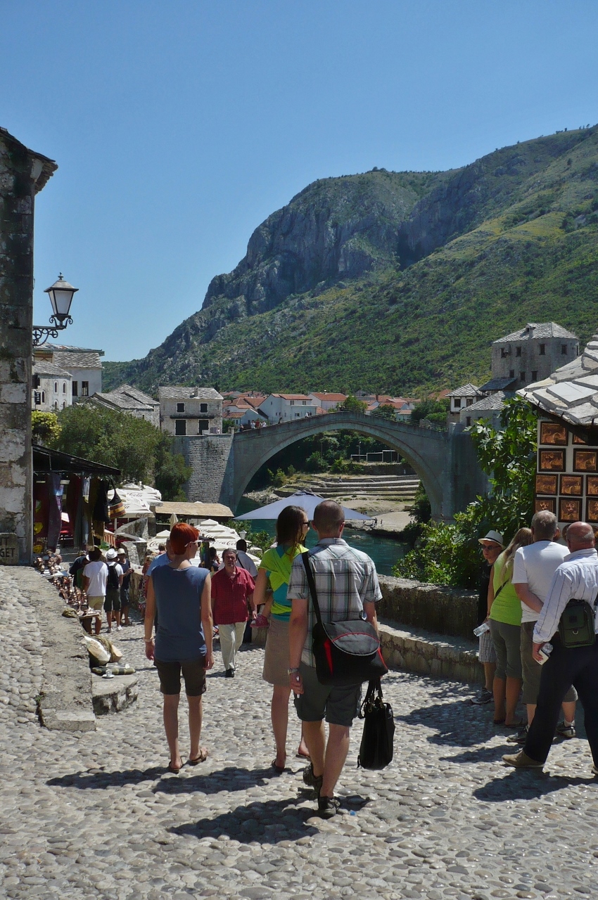 P1030239 (850x1280).jpg