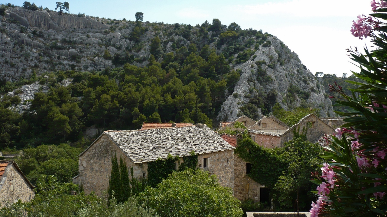 P1030274 (1280x720).jpg