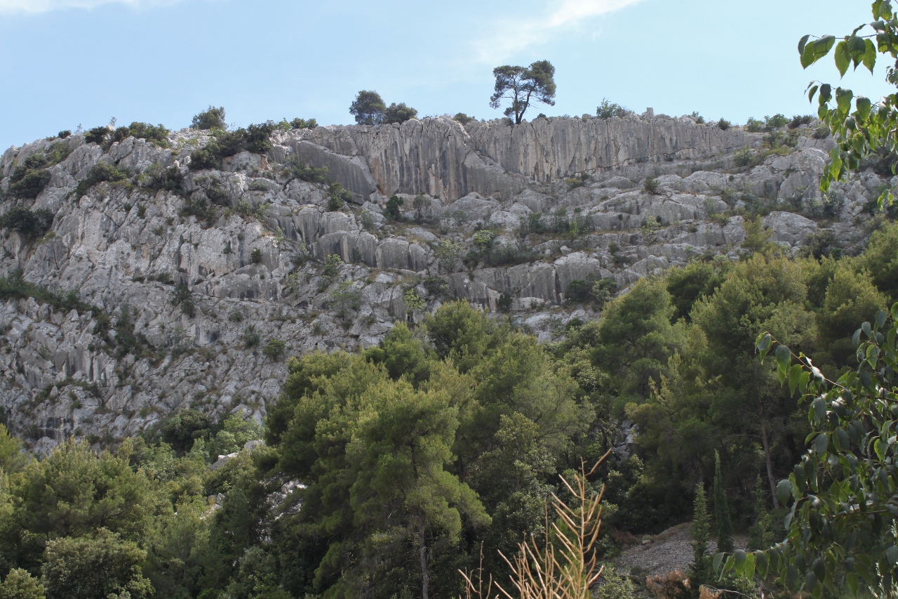 IMG_5988 (1280x853).jpg