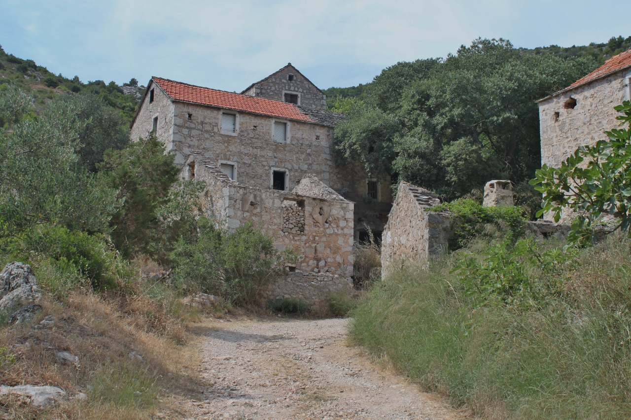 IMG_5995 (1280x853).jpg