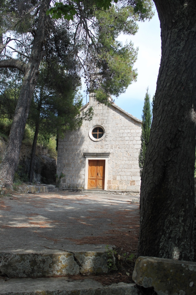 IMG_6022 (683x1024).jpg