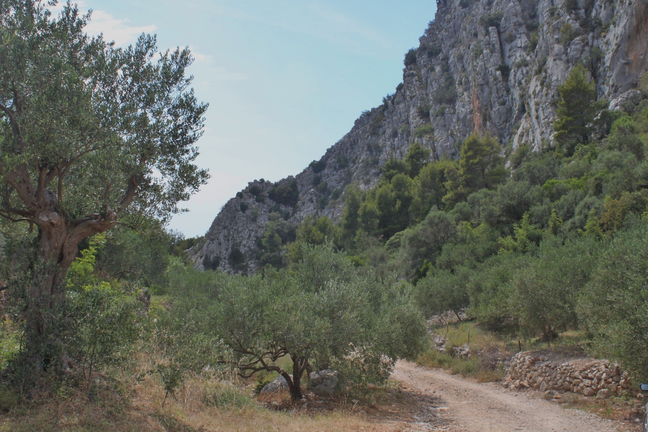 IMG_5986 (1280x853).jpg