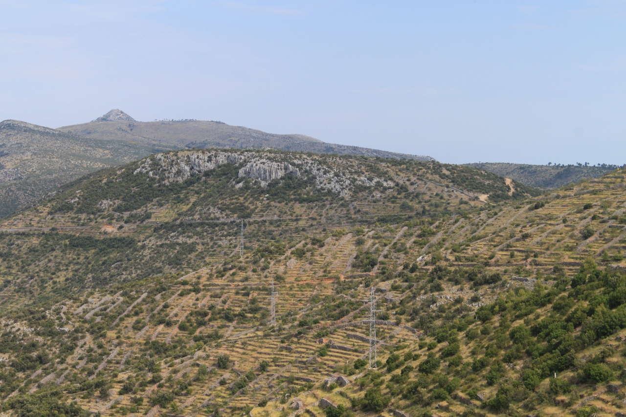 IMG_6074 (1280x853).jpg