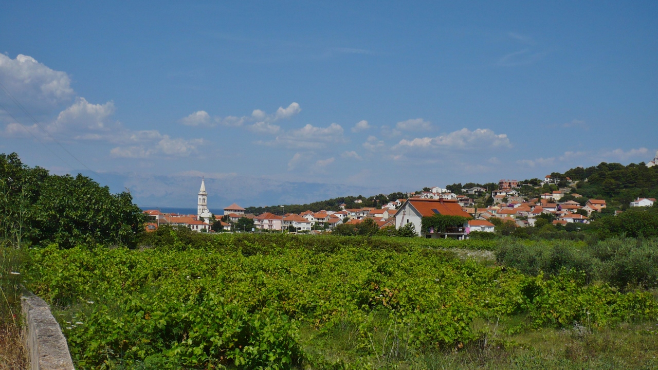 P1030288 (1280x720).jpg