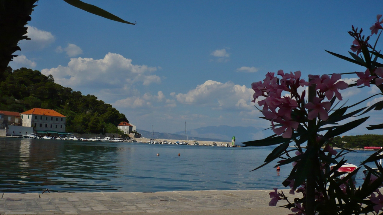 P1030305 (1280x720).jpg