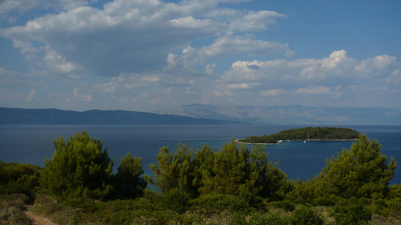 P1030322 (1280x720).jpg