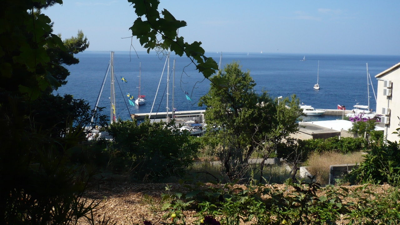 P1030529 (1280x720).jpg