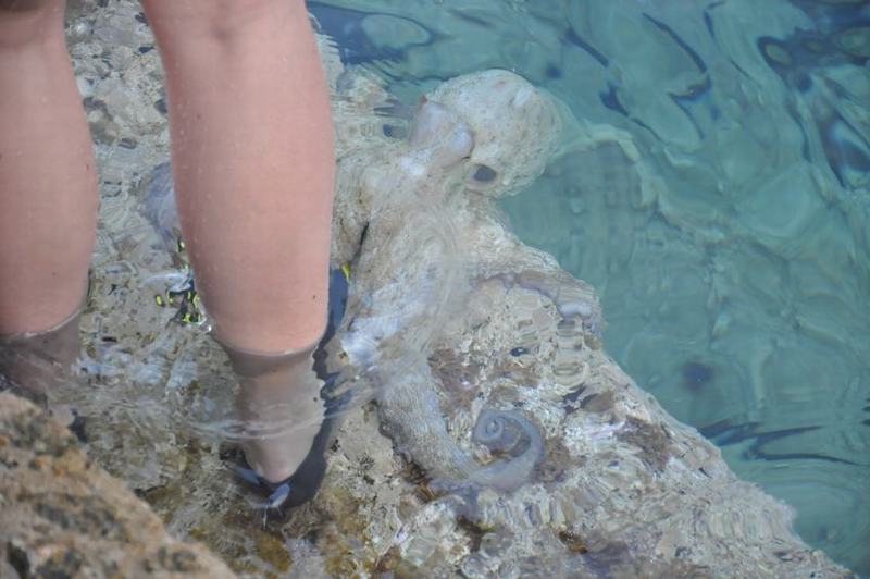 DSC_8394.JPG DSC_8394.JPG