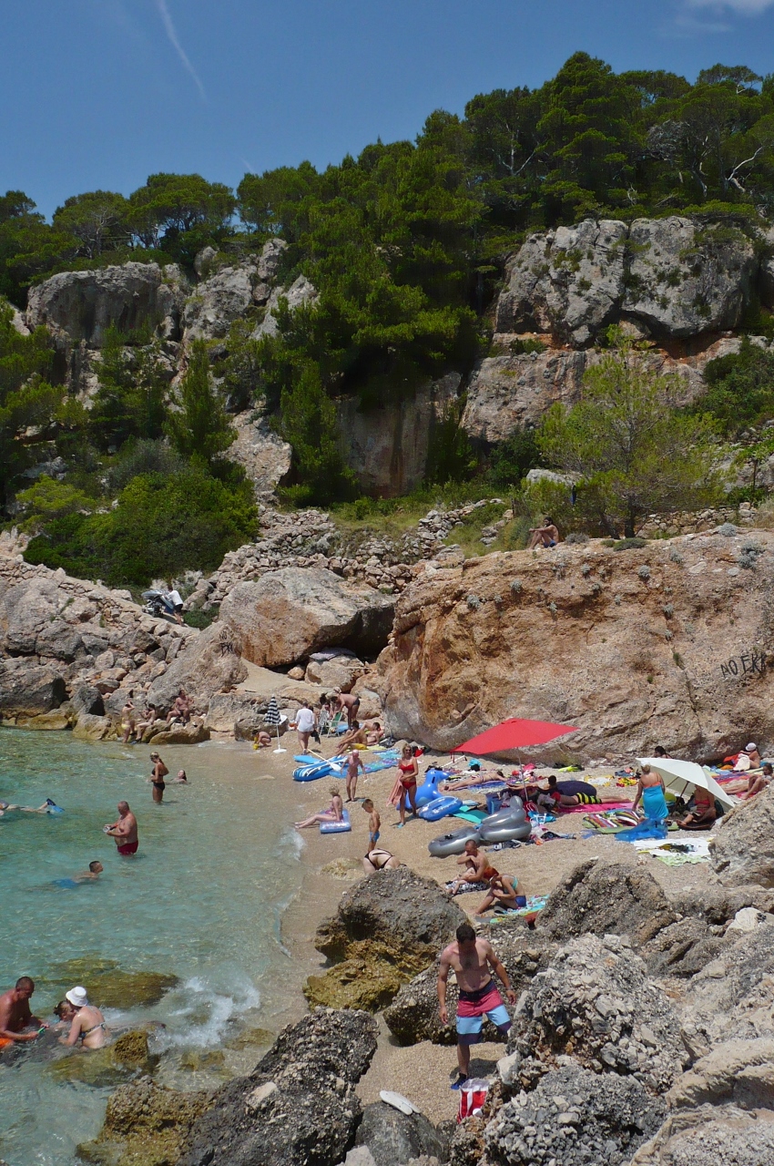 P1030424 (850x1280).jpg