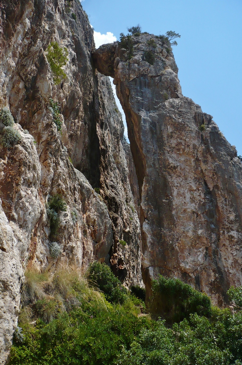 P1030385 (850x1280).jpg