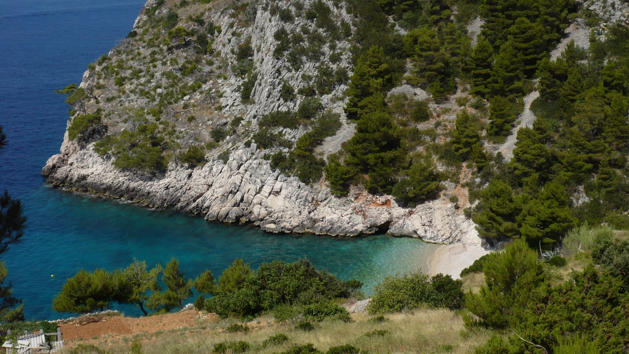 P1030538 (1280x720).jpg