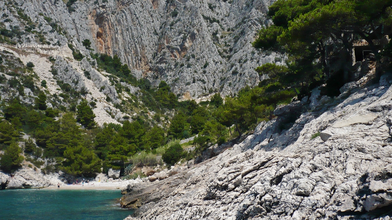 P1030560 (1280x720).jpg