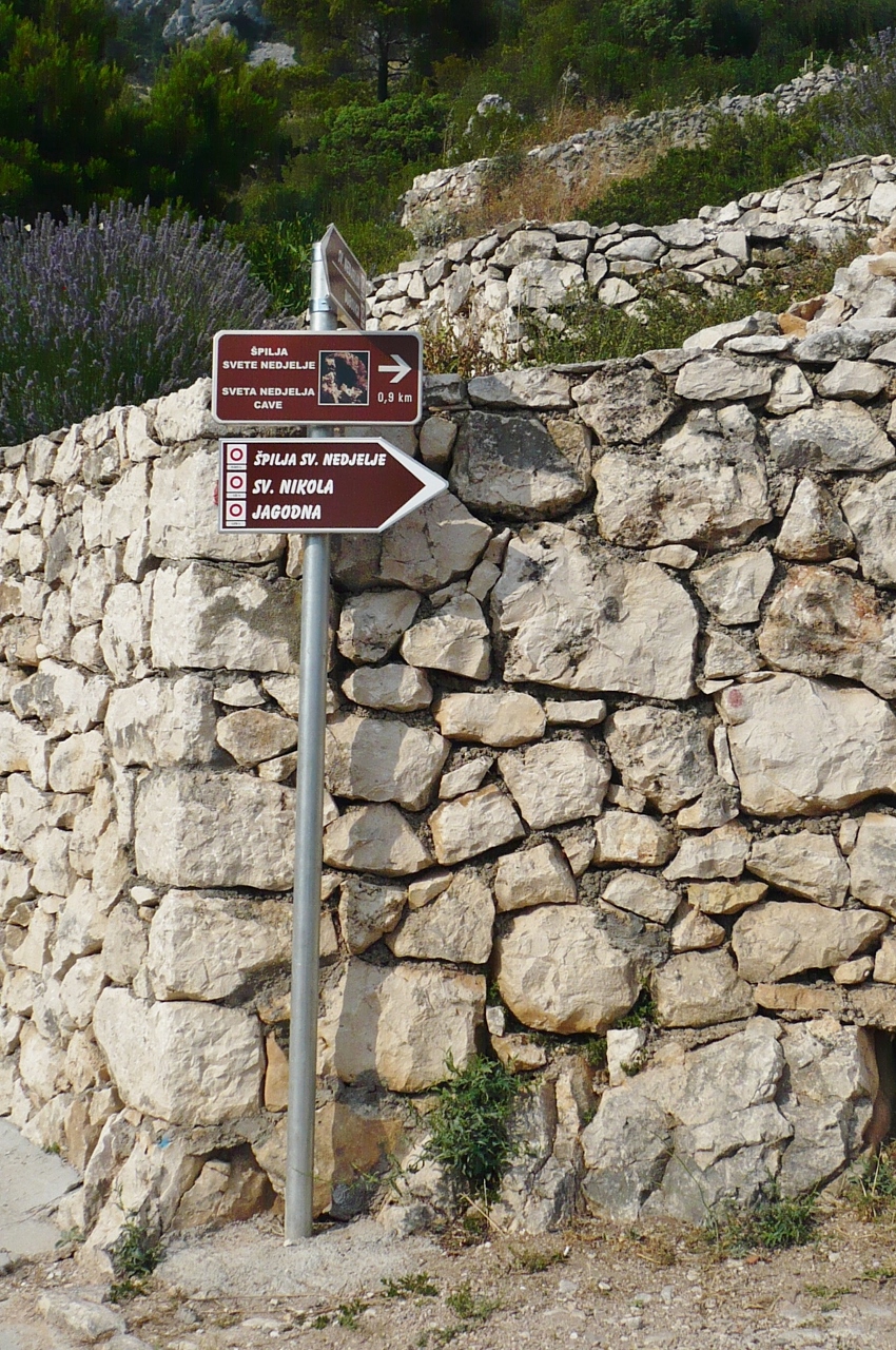 P1030512 (850x1280).jpg