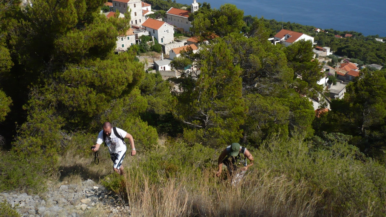 P1030475 (1280x720).jpg