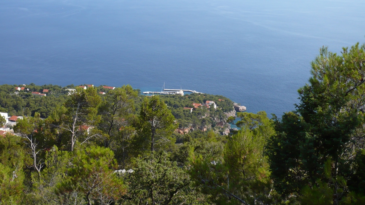 P1030476 (1280x720).jpg